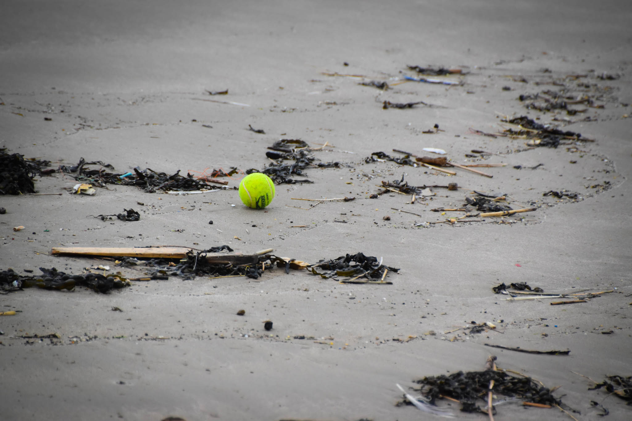 afval_ijmuiden_15